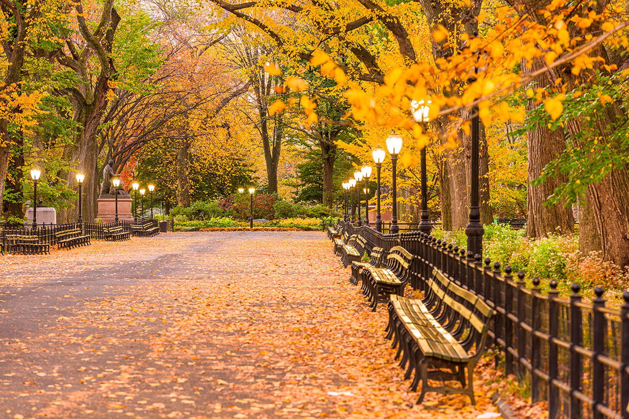 Central Park: el pulmón verde de Nueva York